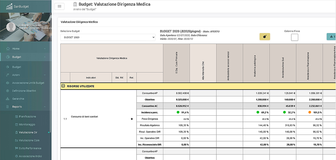 valutazione del budget definito dal dirigente medico